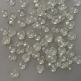 تصویر بین کاری گلبرگ 