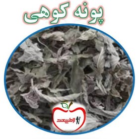 تصویر پونه کوهی اعلا – 500گرم 