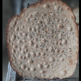 تصویر نان جوگندم خشک 