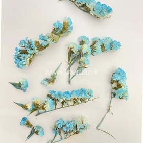 تصویر گل خشک ژیپسوفیلا 