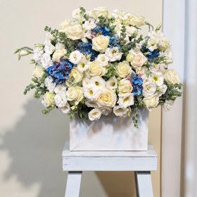 تصویر باکس هورتانسیا 