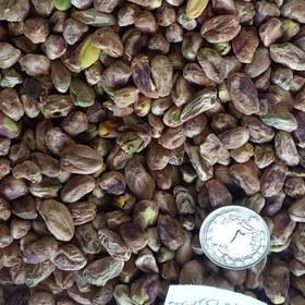 تصویر مغزپسته معمولی 