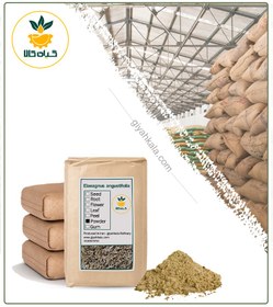 تصویر پودر گل سنجد فله 