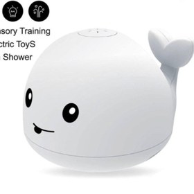 تصویر دلفین آبپاش 