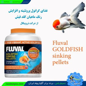 تصویر غذای گرانول گلدفیش پروتئینه ۲۰۰ میل فلووال Fluval Goldfish Flakes 200ml