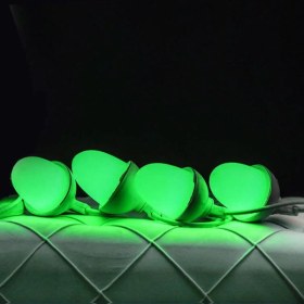 تصویر ریسه بلوطی سبز 