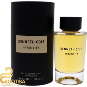 Intensity Kenneth Cole