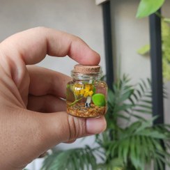 تصویر شمع مینیاتوری جنگل 