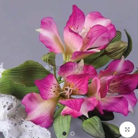 تصویر ست گل گلایل 