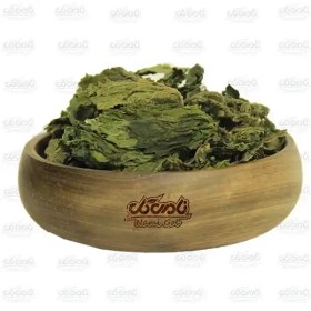 تصویر گزنه شمالی 