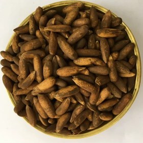 تصویر چلغوز (بدون نمک) 1000گرم 