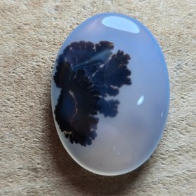 تصویر شجر مصور قائن 