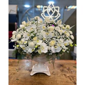 تصویر جام گل بله برون 869 