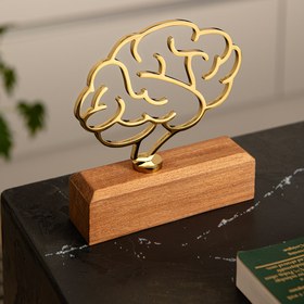 تصویر تندیس مغز 