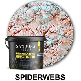 تصویر تارعنکبوتى 