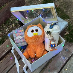 تصویر پک هدیه عروسک گارفیلد بچه 