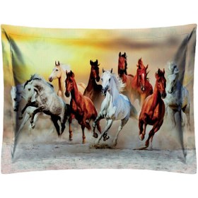 تصویر بالش مدل P2-20317 