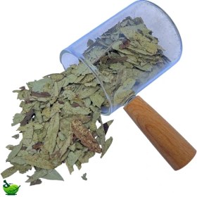 تصویر برگ سنا 