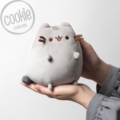 تصویر عروسک گربه پوشین 