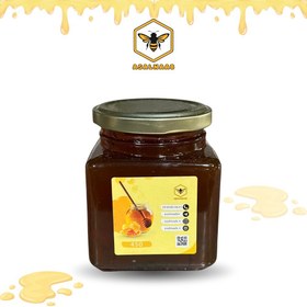 تصویر عسل دیابتی 450 گرمی 