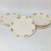 تصویر پیش دستی سرامیکی 6 تایی بهار نقش 