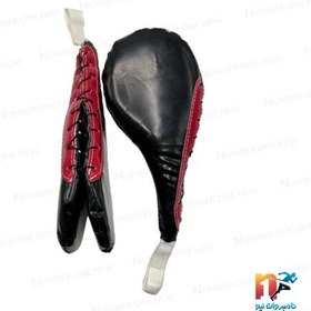 تصویر میت دوقلو کانتینری 