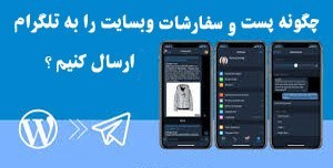 تصویر دوره طراحی اتصال ربات تلگرام به وردپرس ( انتشارت پست و ثبت سفارشات ووکامرس در کانال تلگرام|بدون محدودیت فیلترینگ و پروکسی ) 