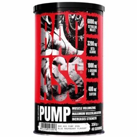 تصویر پمپ بد اس BAD ASS PUMP 350g 