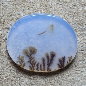 تصویر نگین شجر. 