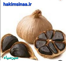 تصویر سیر سیاه 