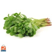 تصویر بذر پرپین (خرفه) 10، 100 و 500 گرمی