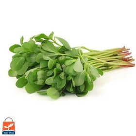 تصویر بذر پرپین (خرفه) 10، 100 و 500 گرمی