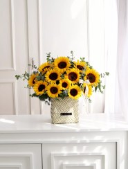 تصویر سبد گل آفتاب‌گردان درین 