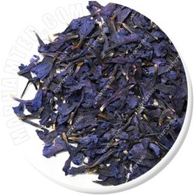 تصویر گل گاوزبان 