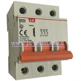 تصویر فیوز 6 آمپر سه فاز LS مدل BKN C6 ا Electric Miniature Circuit Breaker BKN C6 LS Electric Miniature Circuit Breaker BKN C6 LS