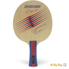 تصویر چوب راکت بائوم اسپریت Donic Table Tennis Blade Model Baum Esprit