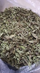 تصویر نعناع برگ خشک فله 