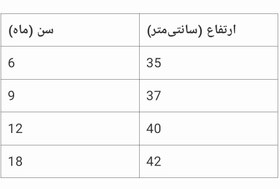 تصویر بادی آستین کوتاه وارداتی 