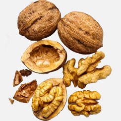 تصویر گردو با پوست درجه یک 