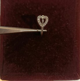 تصویر پیریسینگ بینی 