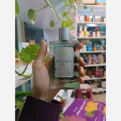 تصویر عطر ادوپرفیوم زنانه وودی سنس مگاماره حجم ۱۰۰ میل خنک 
