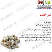 تصویر شیر خشت 25گرمی 