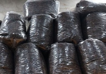 تصویر چای قلم درشت گیلان (بهاره 1404) عمده 