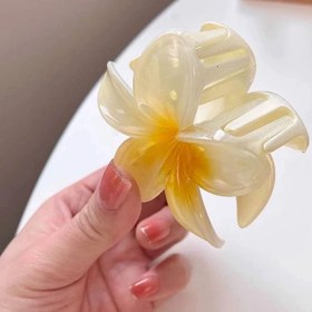 تصویر کلیپس گل پلومریا سایز بزرگ Plumeria flower clips