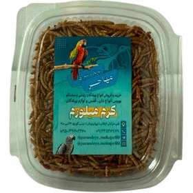 تصویر کرم میلورم مهاجر 