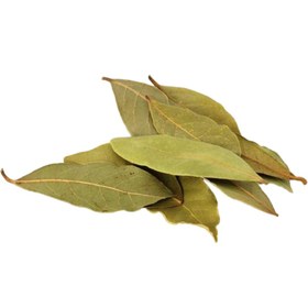 تصویر برگ بو (40 گرم) 