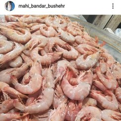 تصویر میگو صورتی درشت دریایی پاک شده 