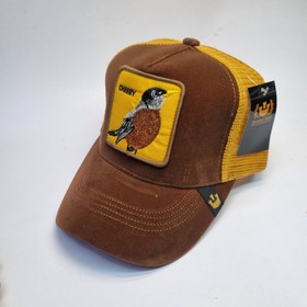 تصویر کلاه گورین پشت تور 