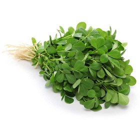 تصویر بذر شنبلیله 10، 100 و 500 گرمی