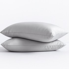 تصویر جفت روبالشتی نقره ای 